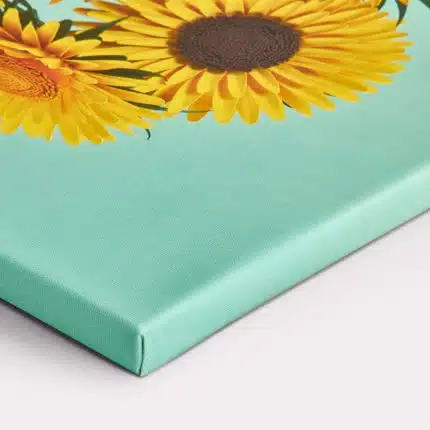 Toiles canvas sur cadre